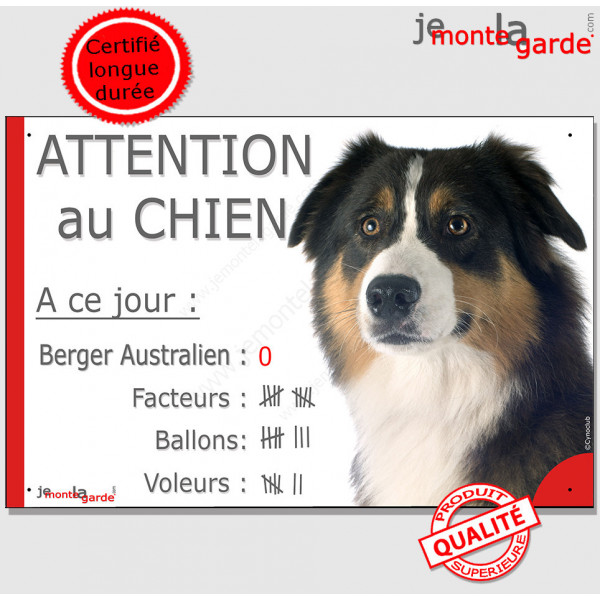 Berger Australien Tricolore noir, pancarte Portail humour "Attention au Chien, Nombre Voleurs, ballons, facteurs" photo Aussie