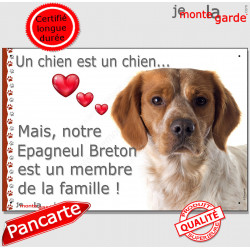 Epagneul Breton Orange, plaque "Chien Membre de la Famille" pancarte panneau coeur photo cadeau affiche