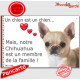 Chihuahua fauve, beige, sable à poils courts, plaque "Un chien est Membre de la Famille" photo panneau idée cadeau