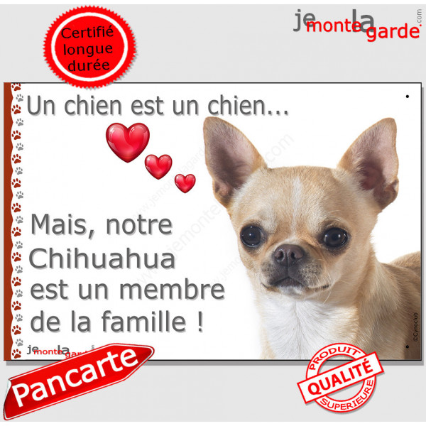 Chihuahua fauve, beige, sable à poils courts, plaque "Un chien est Membre de la Famille" photo panneau idée cadeau