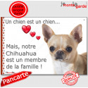 Chihuahua, plaque "Membre de la Famille" 24 cm LOVE