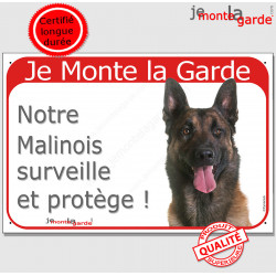 Berger Belge Malinois tête, plaque portail rouge "Je Monte la Garde surveille et protège" pancarte photo panneau