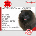 Plaque "Attention au Chien, le Spitz noir est une sonnette" 24 cm RNG