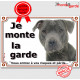 Staffie gris bleu tête, plaque portail "Je Monte la Garde, risques périls" panneau affiche pancarte, photo staffy