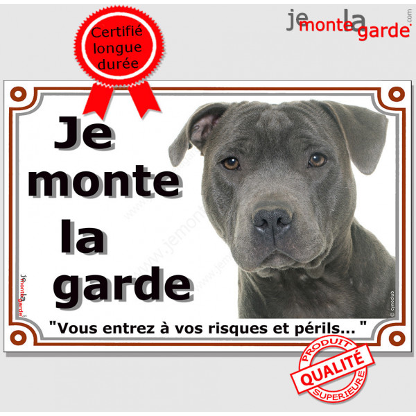 Staffie gris bleu tête, plaque portail "Je Monte la Garde, risques périls" panneau affiche pancarte, photo staffy