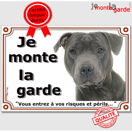 Staffie gris bleu tête, plaque portail "Je Monte la Garde, vous entrez à vos risques et périls" photo staffy résiste pluie solei