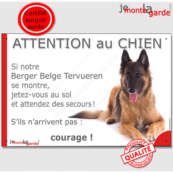 Berger Belge Tervueren couché, plaque portail humour "Attention au Chien Jetez Vous au Sol, courage" pancarte drôle