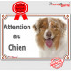 Berger Australien rouge merle, plaque portail extérieure "Attention au Chien" pancarte panneau photo aussie