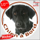 Labrador noir Tête, sticker autocollant rond "Chien à Bord" Disque photo adhésif vitre voiture