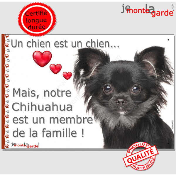 Chihuahua noir poils longs, plaque "Un chien est Membre de la Famille" photo panneau idée cadeau cadre pancarte affiche