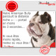 American Bully marron chocolat et blanc, plaque humour "parcourt distance Niche-Portail moins 3 secondes" photo attention chien