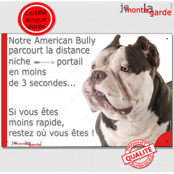 American Bully marron chocolat et blanc, plaque humour "parcourt distance Niche-Portail moins 3 secondes" photo attention chien