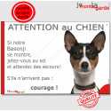 Basenji, plaque humour "Jetez Vous au Sol, Attention au Chien" 24 cm JET