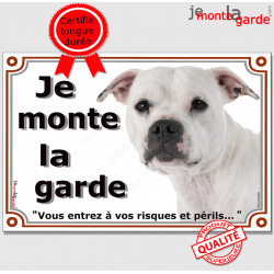 Staffie tout blanc tête, plaque portail "Je Monte la Garde, risques périls" panneau affiche pancarte, photo staffy