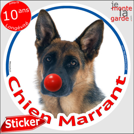 Berger Allemand noir feu poil court, sticker autocollant rond "Chien Marrant" Disque adhésif vitre voiture photo amusant humour,