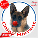 Berger Allemand, sticker rond "Chien Marrant" 14 cm