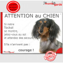 Teckel, plaque humour "Jetez Vous au Sol, Attention au Chien" 24 cm