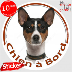 Basenji tricolore, disque autocollant voiture "Chien à Bord" Rond photo vitre adhésif