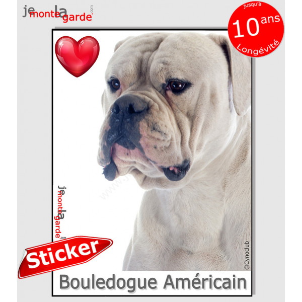 "I Love Bouledogue Américain entièrement blanc" photo autocollante, Sticker adhésif race
