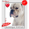 "I love Bouledogue Américain" photo autocollante 16 cm C