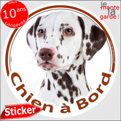 Dalmatien foie marron chocolat, sticker autocollant voiture rond "Chien à Bord" Disque adhésif photo vitre