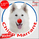 Berger Blanc Suisse, sticker autocollant rond "Chien Marrant" Disque adhésif vitre voiture photo amusant humour