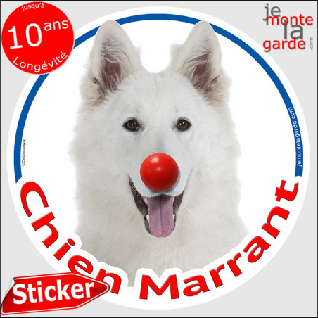 Berger Blanc Suisse, sticker autocollant rond "Chien Marrant" Disque adhésif vitre voiture photo amusant humour