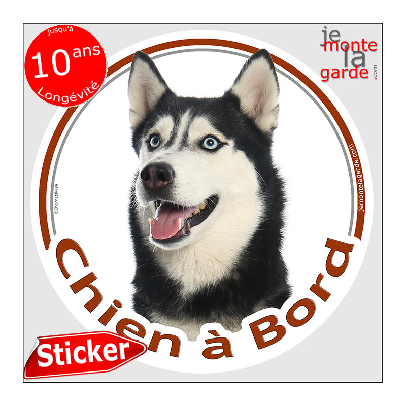 Husky noir et blanc, sticker autocollant rond "Chien à Bord" Disque adhésif vitre voiture photo Husky noir et blanc, sticker autocollant rond "Chien à Bord" Disque adhésif vitre voiture photo