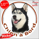 Husky Noir, sticker voiture "Chien à Bord" 14 cm