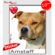"I Love American Staffordshire Terrier fauve et blanc" photo autocollante, Sticker adhésif race Amstaff Staff