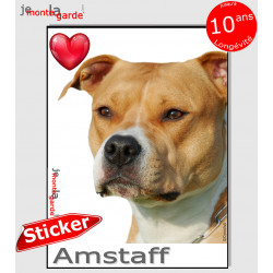 "I Love American Staffordshire Terrier fauve et blanc" photo autocollante, Sticker adhésif race Amstaff Staff