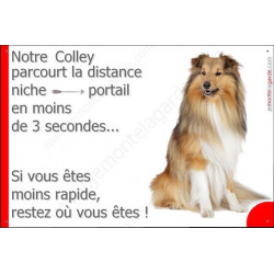Colley Assis, plaque humour "parcourt distance Niche - Portail" 24 cm 3SEC