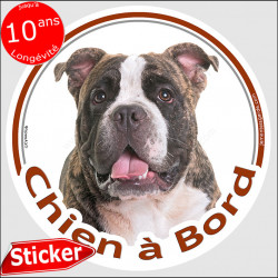 Bully bringé, sticker voiture rond "Chien à Bord" 15 cm