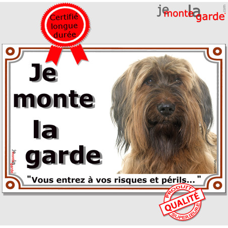 Briard Fauve Tête, Plaque portail "Je Monte la Garde, vous entrez à vos risques et périls" photo Berger de Brie marron, résiste 