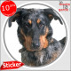 Beauceron Arlequin, sticker autocollant rond "photo" résiste Pluie Soleil Gel, disque adhésif chien Berger de Beauce arlequin 