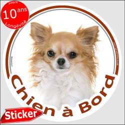 Chihuahua blanc et fauve à poils longs Tête, sticker autocollant rond "Chien à Bord" Disque photo adhésif vitre voiture