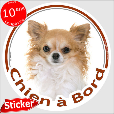 Chihuahua blanc et fauve à poils longs Tête, sticker autocollant rond "Chien à Bord" Disque photo adhésif vitre voiture, résiste