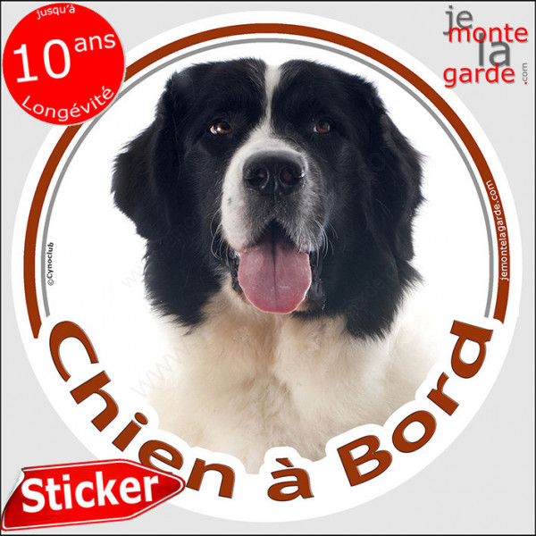 Landseer, sticker autocollant rond "Chien à Bord" Disque adhésif vitre voiture photo