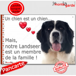 Landseer Tête, plaque "Un chien est Membre de la Famille" photo panneau idée cadeau cadre pancarte affiche