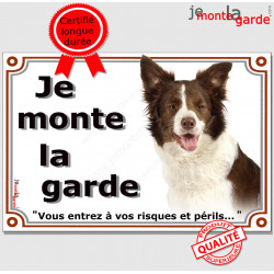 Border Collie marron brun et blanc, plaque portail "Je Monte la Garde, risques périls" pancarte panneau photo