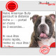 American Bully marron chocolat et blanc, plaque humour "parcourt distance Niche-Portail moins 3 secondes" photo attention chien