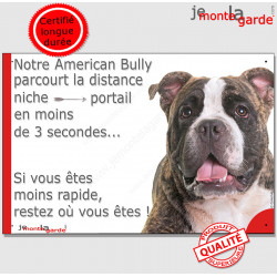 American Bully marron chocolat et blanc, plaque humour "parcourt distance Niche-Portail moins 3 secondes" photo attention chien