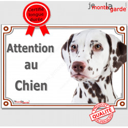 Dalmatien marron foie, plaque portail "Attention au Chien" pancarte panneau photo