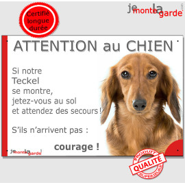 Teckel poils longs fauve marron, plaque portail humour "Attention au chien, Jetez Vous au Sol, courage" résiste à l'extérieur, i