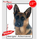 "I Love Berger Allemand noir et feu à poils courts" photo autocollante, Sticker adhésif race