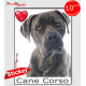 "I Love Cane Corso Italiano gris bleu" photo autocollante, Sticker adhésif race