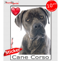 "I Love Cane Corso Italiano gris bleu" photo autocollante, Sticker adhésif race