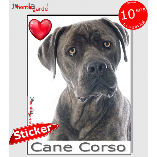 "I Love Cane Corso Italiano gris bleu" photo autocollante, Sticker adhésif race