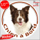 Border Collie marron chocolat et blanc, sticker autocollant rond "Chien à Bord" Disque adhésif vitre voiture auto photo brun