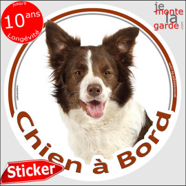 Border Collie marron chocolat et blanc, sticker autocollant rond "Chien à Bord" Disque adhésif vitre voiture auto photo brun, ré